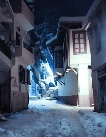 公寓 Iliana's House 瑙萨玛西亚斯