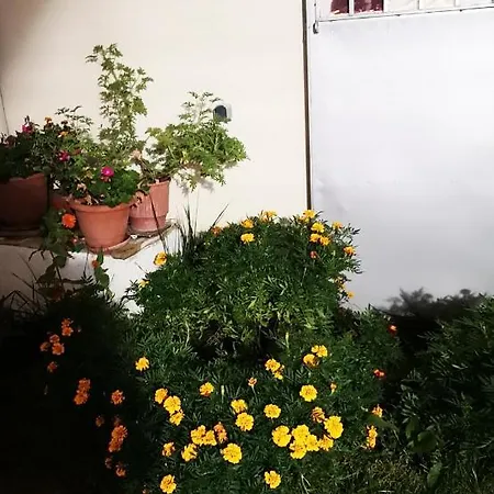 Iliana's House Διαμέρισμα *