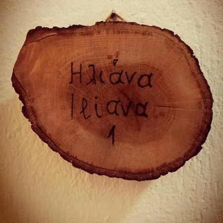 Iliana's House *