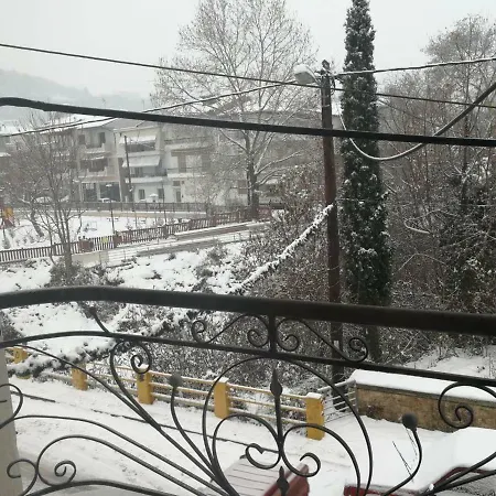 Iliana's House